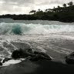 Meet your Posher, Jodie